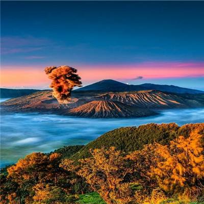 丛林王座最新版(暂未上线)v1.0 安卓最新版